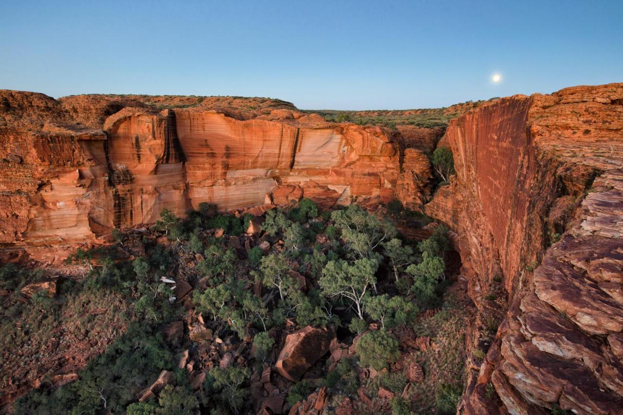 Discovery Resorts - Kings Canyon Eksteriør bilde