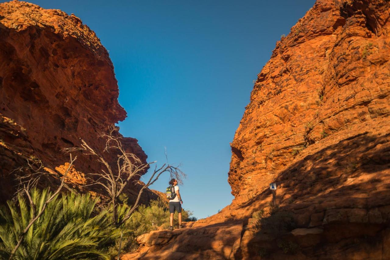 Discovery Resorts - Kings Canyon Eksteriør bilde